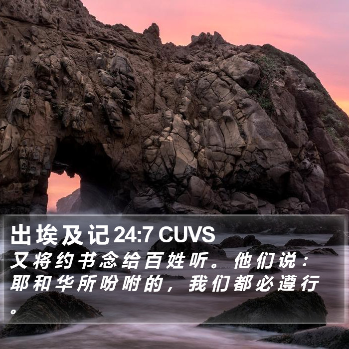 出 埃 及 记 24:7 CUVS Bible Study