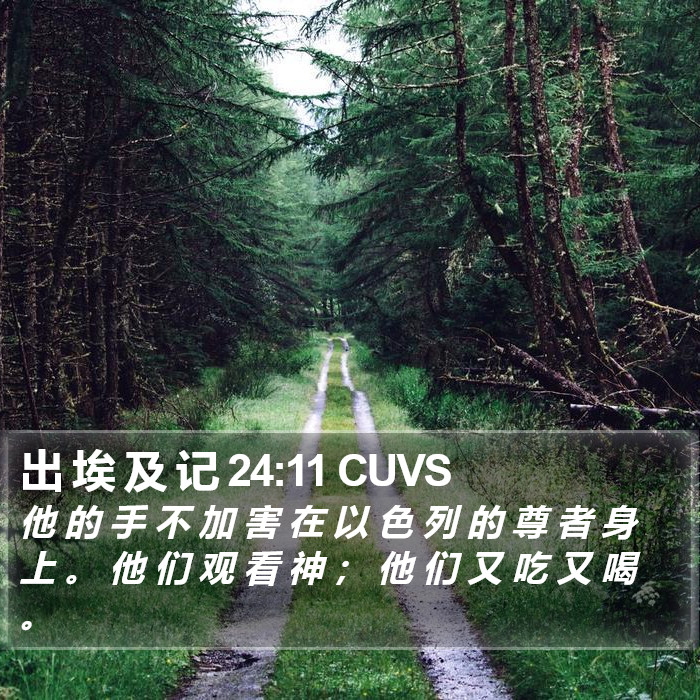 出 埃 及 记 24:11 CUVS Bible Study