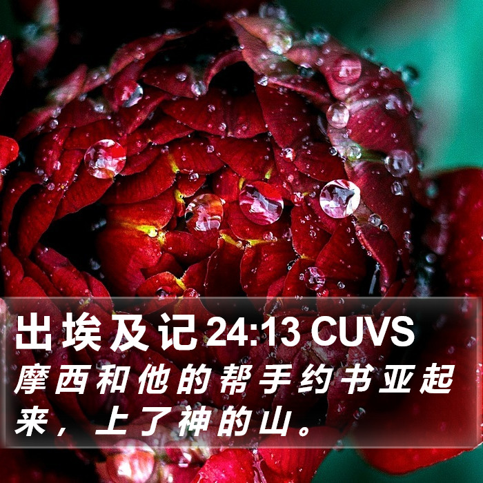 出 埃 及 记 24:13 CUVS Bible Study