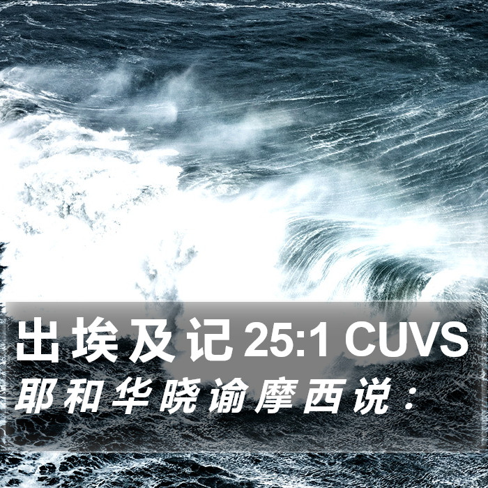 出 埃 及 记 25:1 CUVS Bible Study
