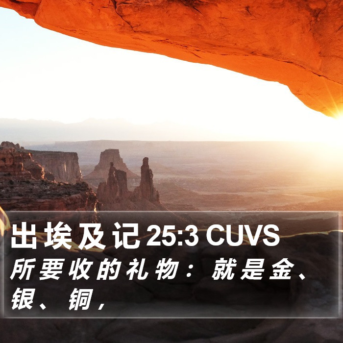 出 埃 及 记 25:3 CUVS Bible Study