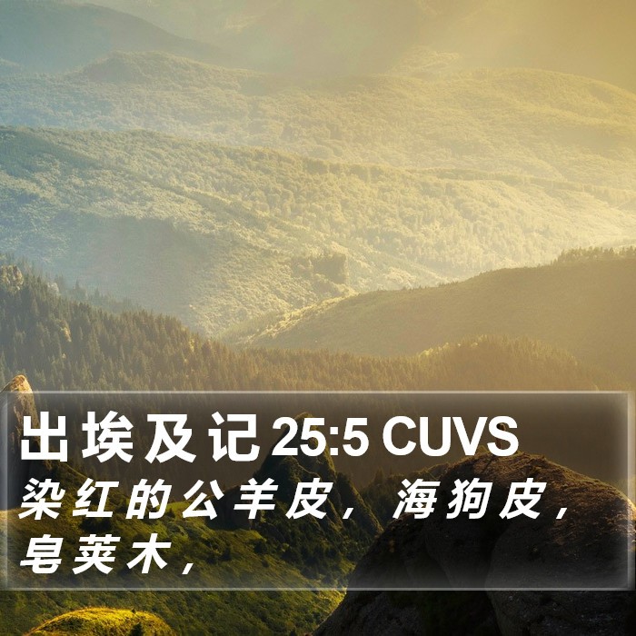 出 埃 及 记 25:5 CUVS Bible Study