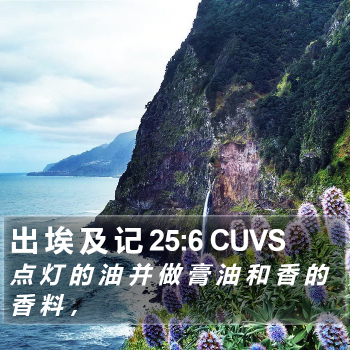 出 埃 及 记 25:6 CUVS Bible Study