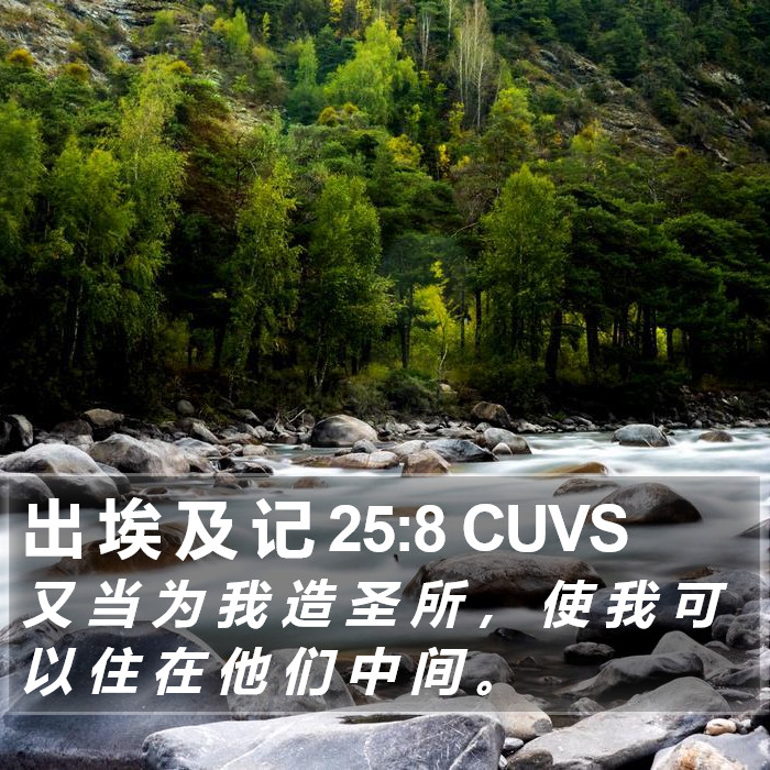 出 埃 及 记 25:8 CUVS Bible Study