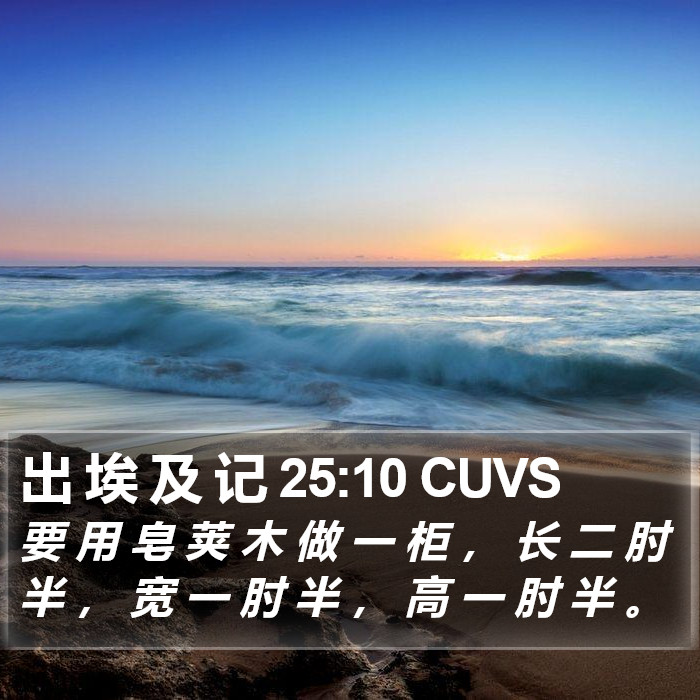 出 埃 及 记 25:10 CUVS Bible Study