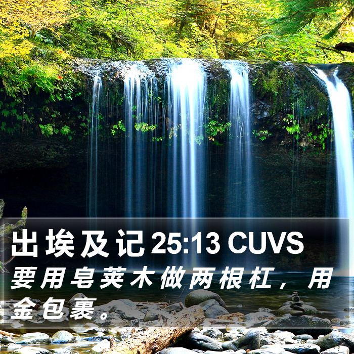 出 埃 及 记 25:13 CUVS Bible Study