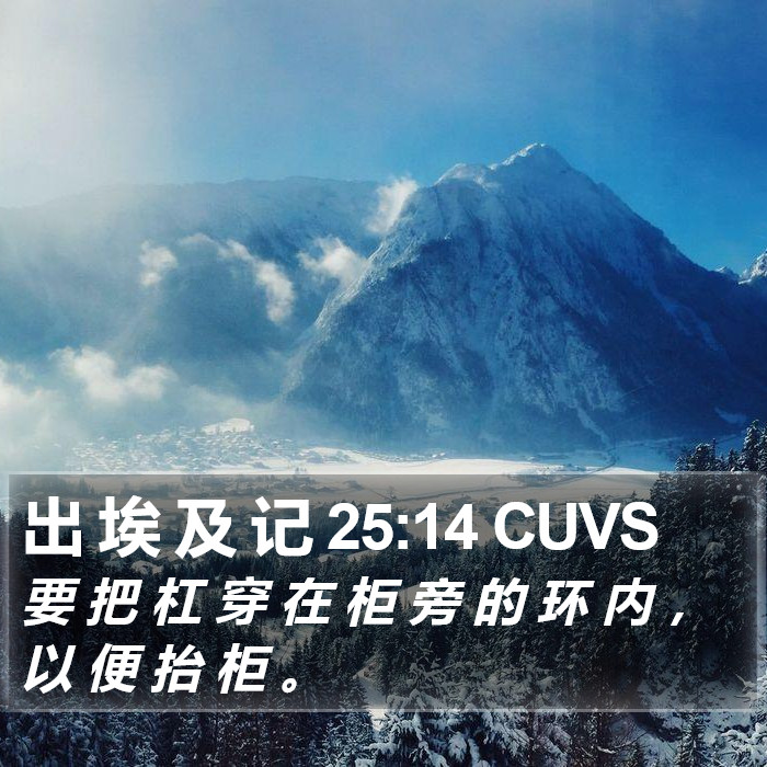 出 埃 及 记 25:14 CUVS Bible Study