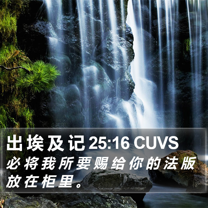 出 埃 及 记 25:16 CUVS Bible Study