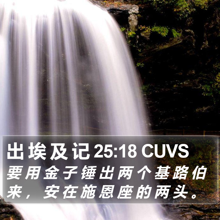 出 埃 及 记 25:18 CUVS Bible Study