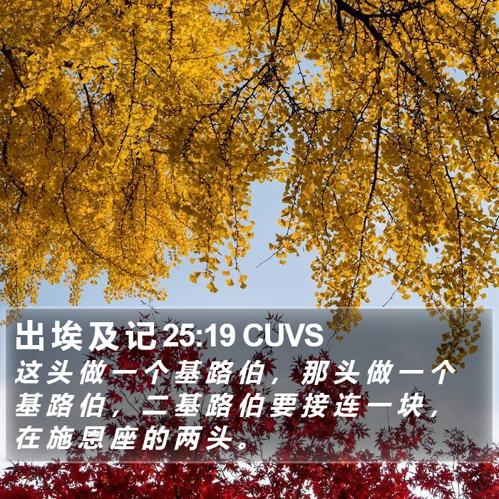 出 埃 及 记 25:19 CUVS Bible Study
