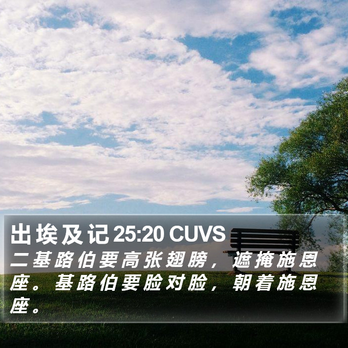 出 埃 及 记 25:20 CUVS Bible Study