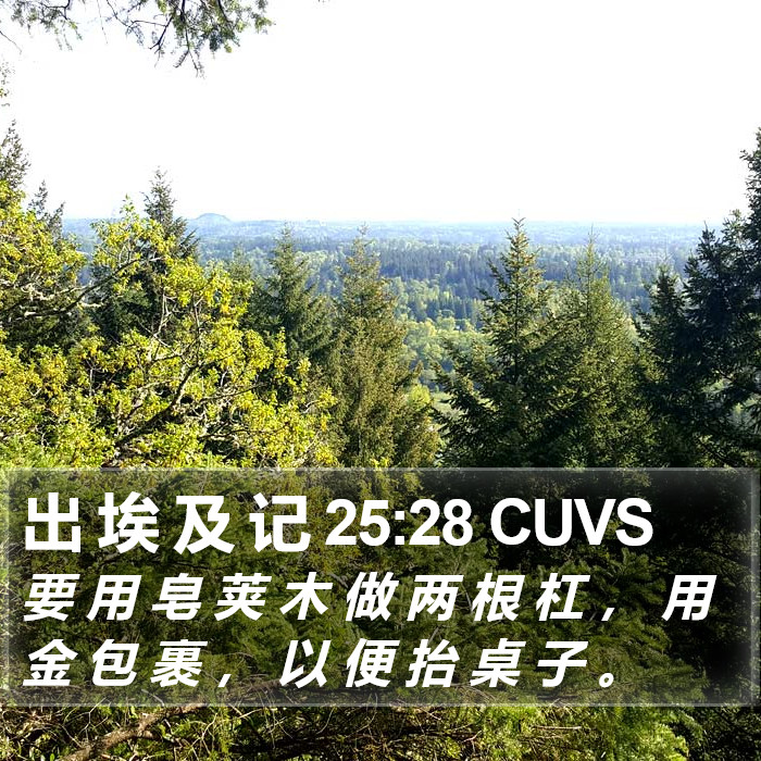 出 埃 及 记 25:28 CUVS Bible Study