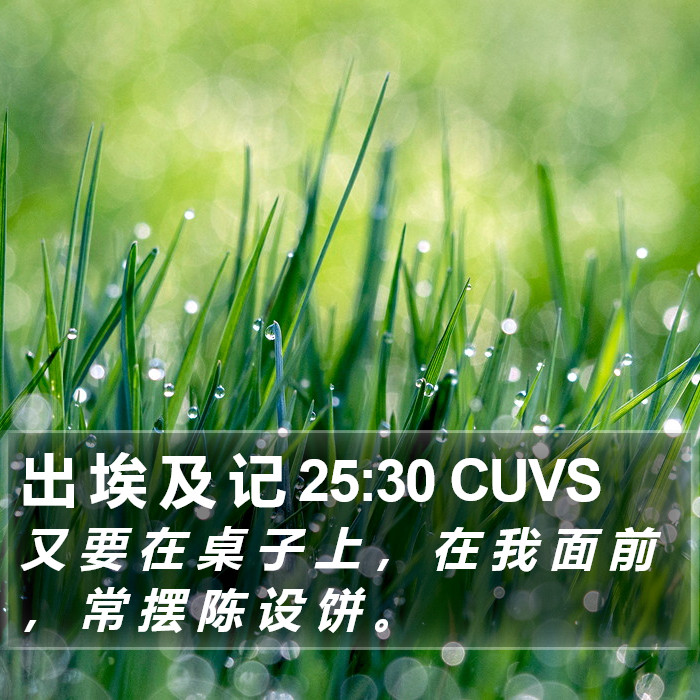 出 埃 及 记 25:30 CUVS Bible Study