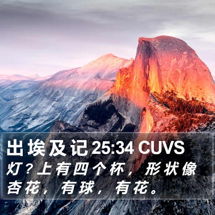 出 埃 及 记 25:34 CUVS Bible Study