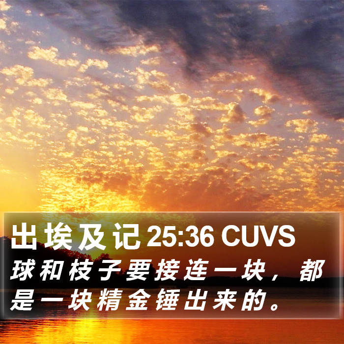 出 埃 及 记 25:36 CUVS Bible Study