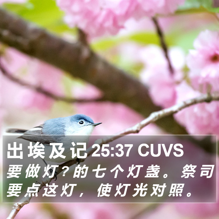 出 埃 及 记 25:37 CUVS Bible Study