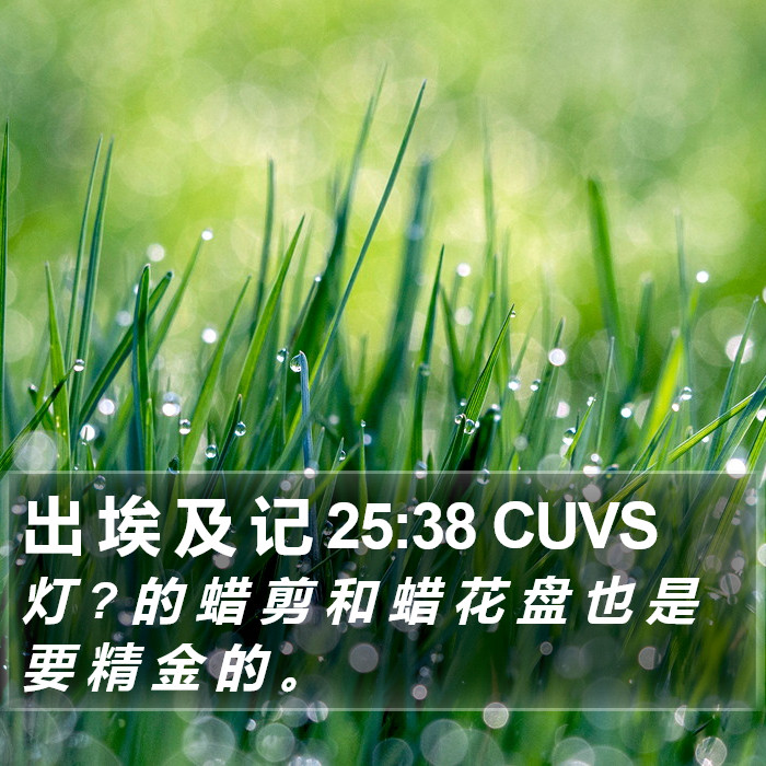 出 埃 及 记 25:38 CUVS Bible Study