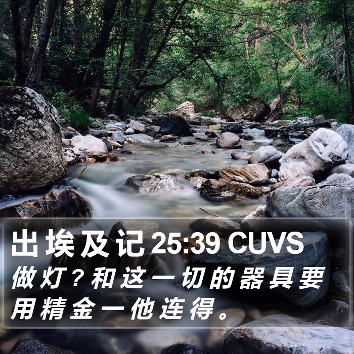 出 埃 及 记 25:39 CUVS Bible Study
