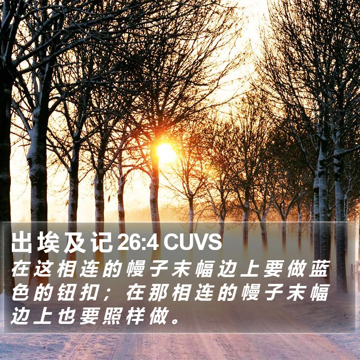 出 埃 及 记 26:4 CUVS Bible Study