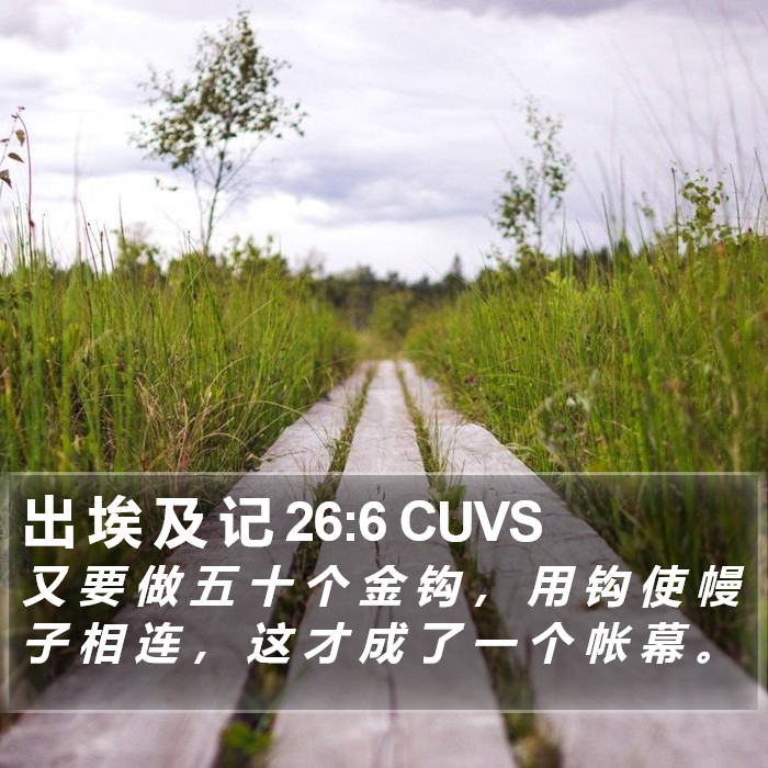 出 埃 及 记 26:6 CUVS Bible Study
