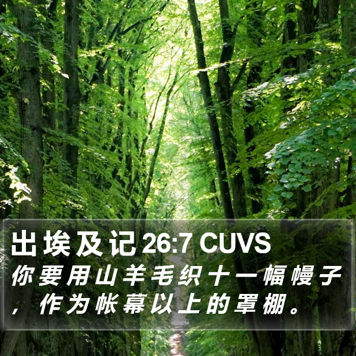 出 埃 及 记 26:7 CUVS Bible Study