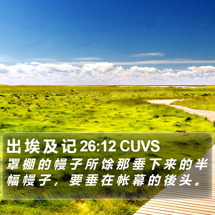 出 埃 及 记 26:12 CUVS Bible Study