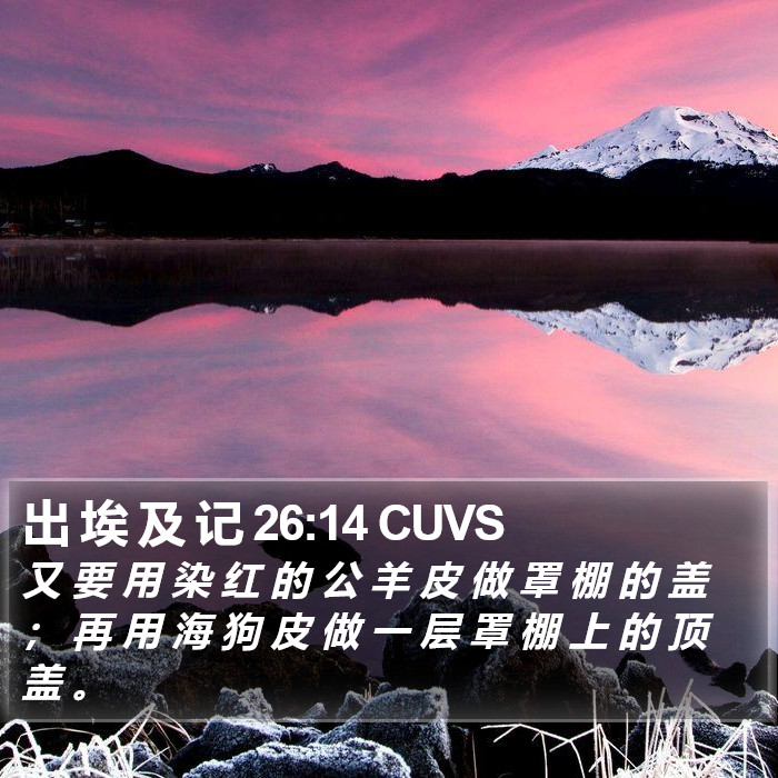 出 埃 及 记 26:14 CUVS Bible Study