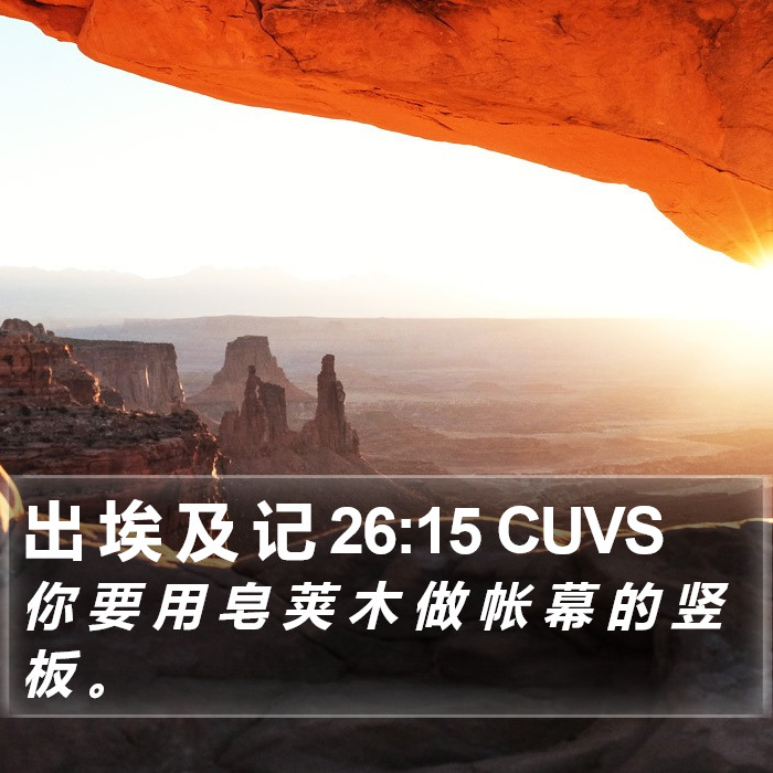 出 埃 及 记 26:15 CUVS Bible Study