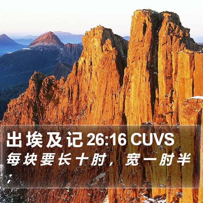 出 埃 及 记 26:16 CUVS Bible Study