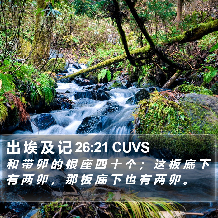 出 埃 及 记 26:21 CUVS Bible Study