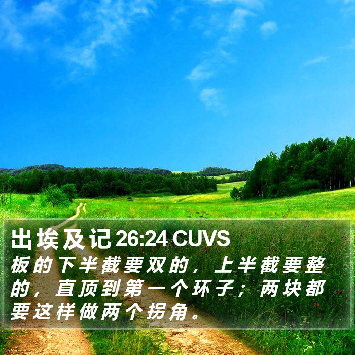 出 埃 及 记 26:24 CUVS Bible Study