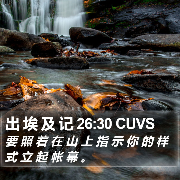 出 埃 及 记 26:30 CUVS Bible Study