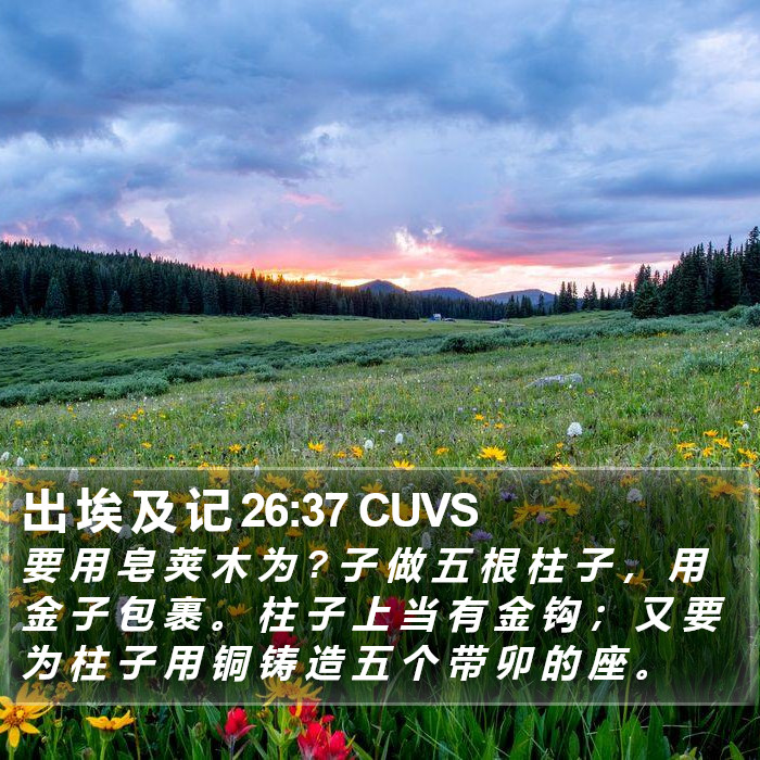 出 埃 及 记 26:37 CUVS Bible Study