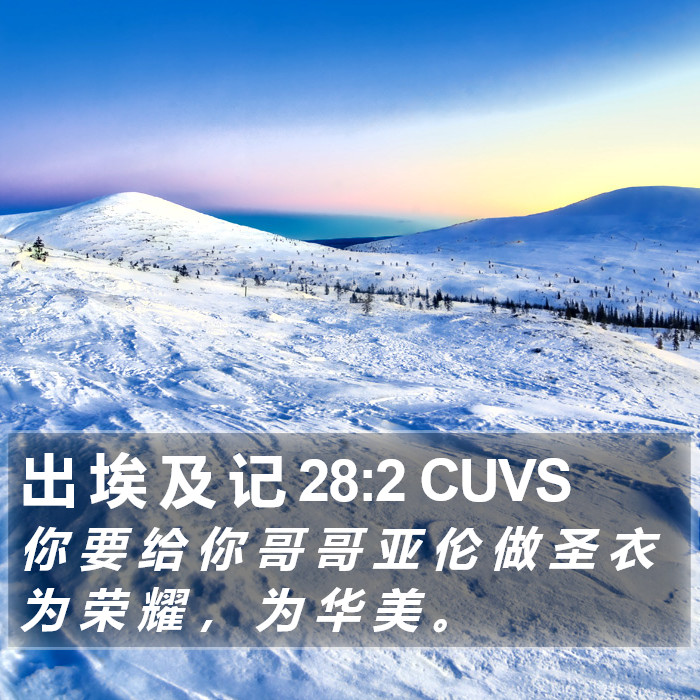 出 埃 及 记 28:2 CUVS Bible Study