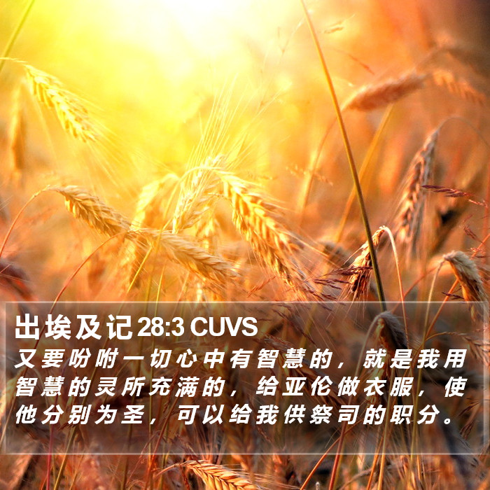 出 埃 及 记 28:3 CUVS Bible Study
