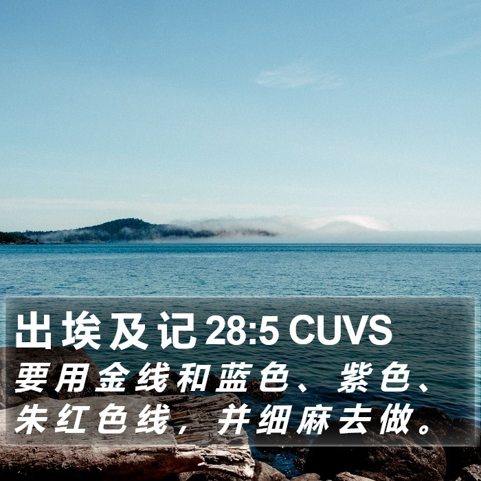 出 埃 及 记 28:5 CUVS Bible Study