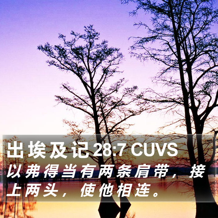 出 埃 及 记 28:7 CUVS Bible Study