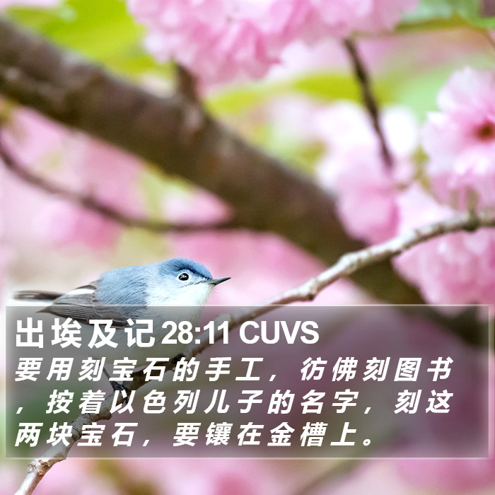 出 埃 及 记 28:11 CUVS Bible Study