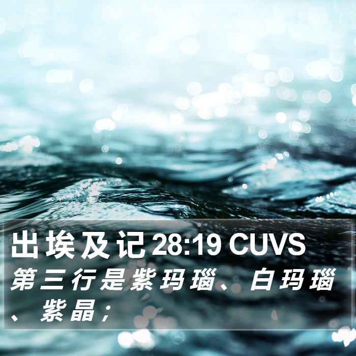 出 埃 及 记 28:19 CUVS Bible Study