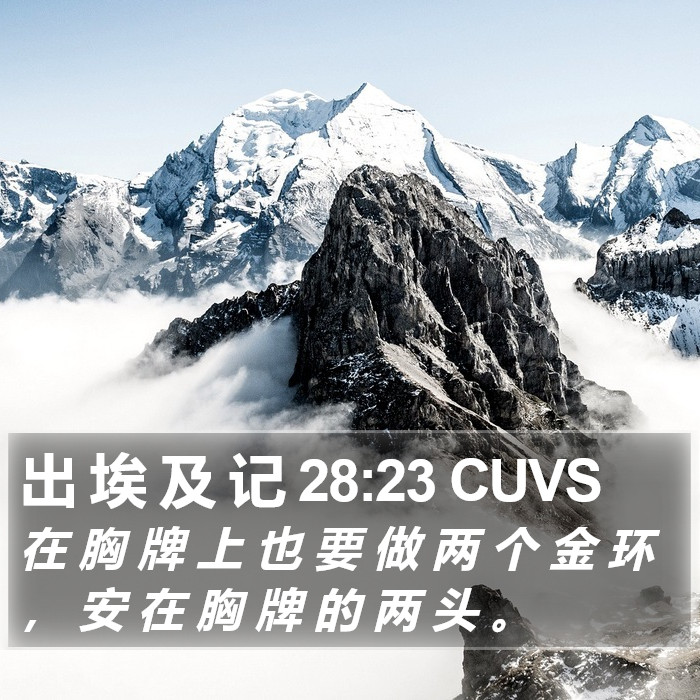 出 埃 及 记 28:23 CUVS Bible Study