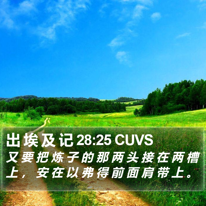 出 埃 及 记 28:25 CUVS Bible Study