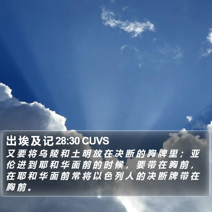 出 埃 及 记 28:30 CUVS Bible Study