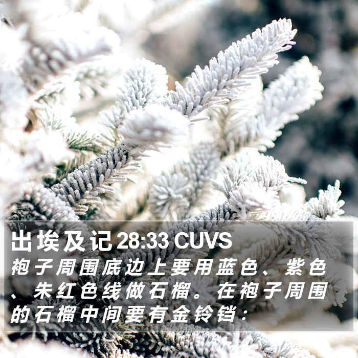 出 埃 及 记 28:33 CUVS Bible Study