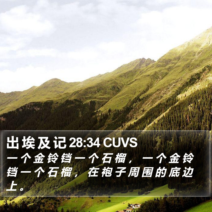 出 埃 及 记 28:34 CUVS Bible Study