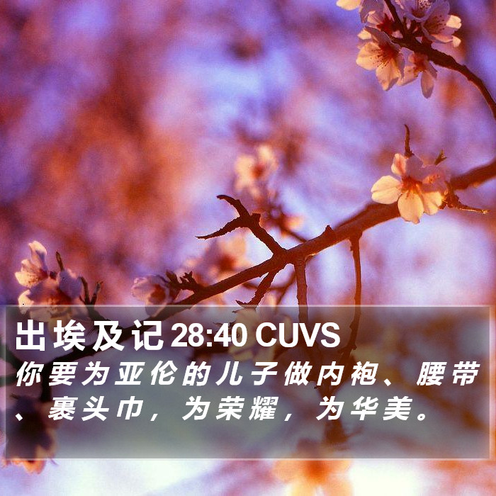 出 埃 及 记 28:40 CUVS Bible Study