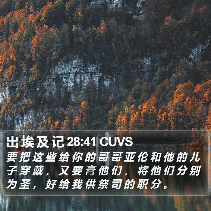 出 埃 及 记 28:41 CUVS Bible Study