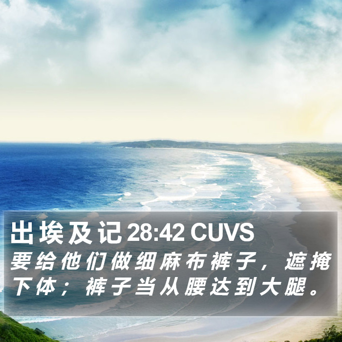 出 埃 及 记 28:42 CUVS Bible Study