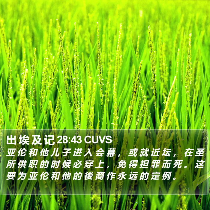 出 埃 及 记 28:43 CUVS Bible Study