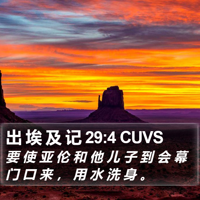 出 埃 及 记 29:4 CUVS Bible Study