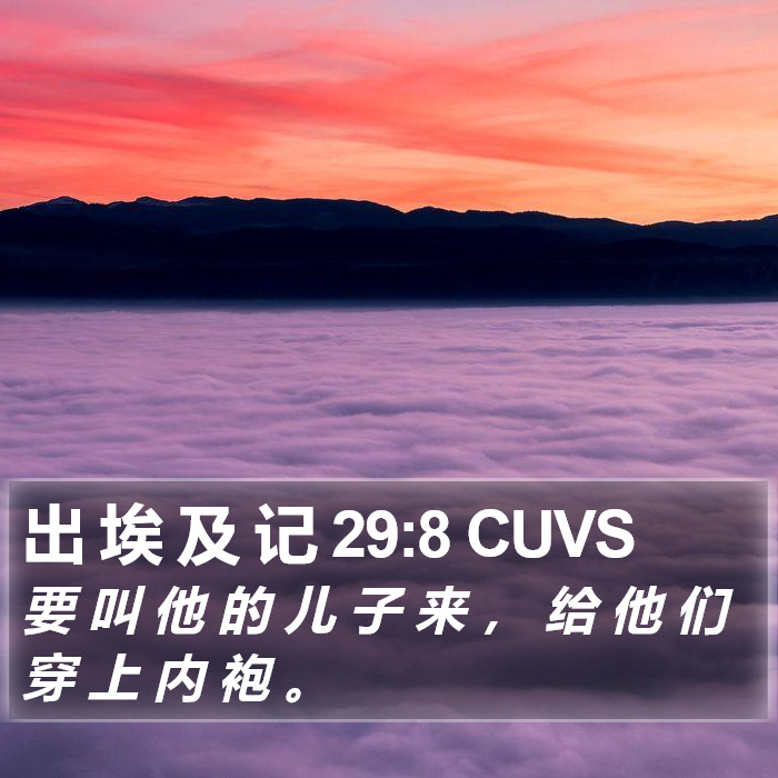 出 埃 及 记 29:8 CUVS Bible Study